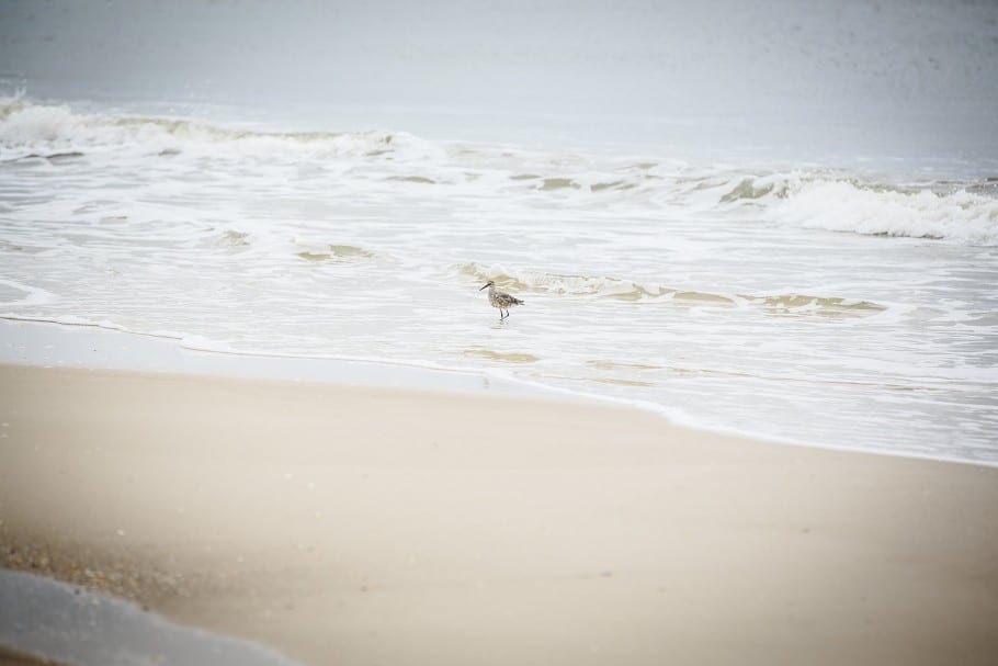 st_george_island_florida_wedding_0023