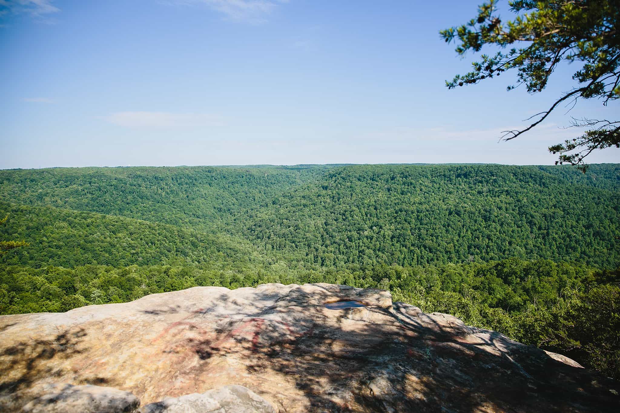 tennessee_beerock_overlook_mountain_field_engagement_0001.jpg